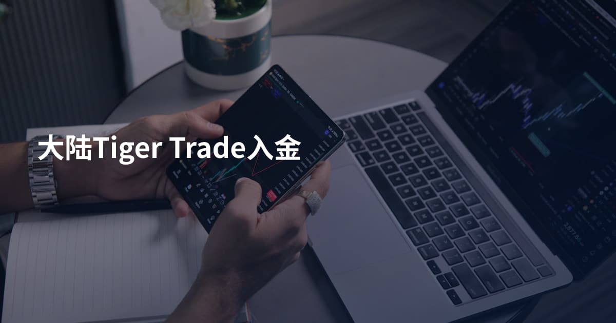 大陆Tiger Trade入金