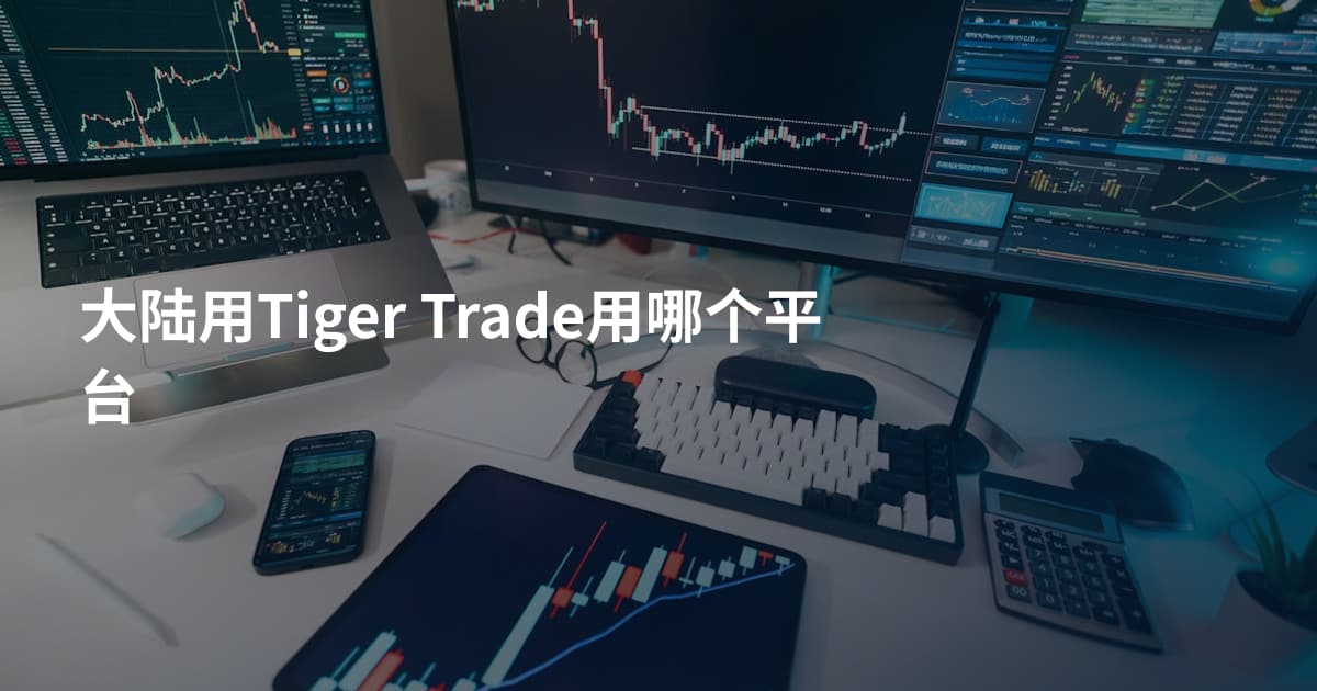 大陆用Tiger Trade用哪个平台