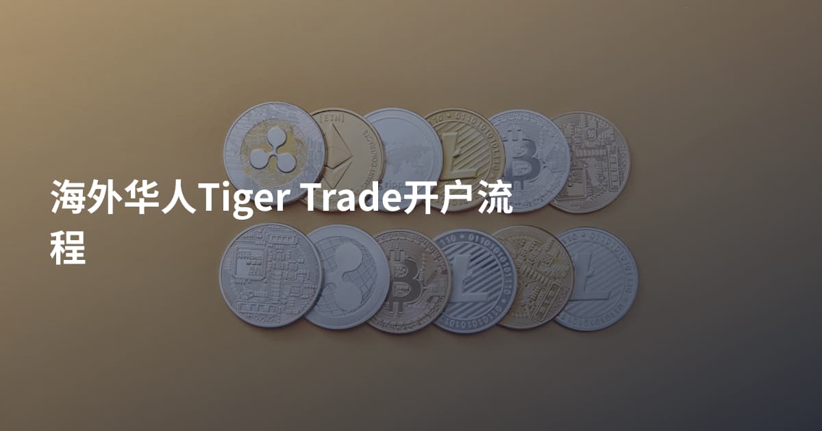 海外华人Tiger Trade开户流程