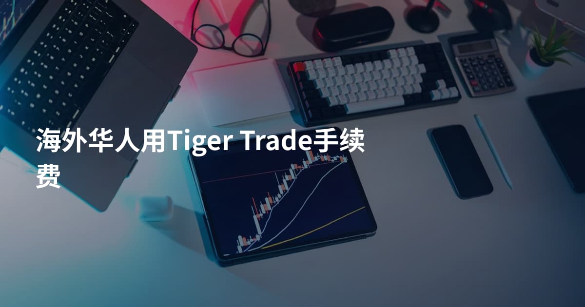 海外华人用Tiger Trade手续费