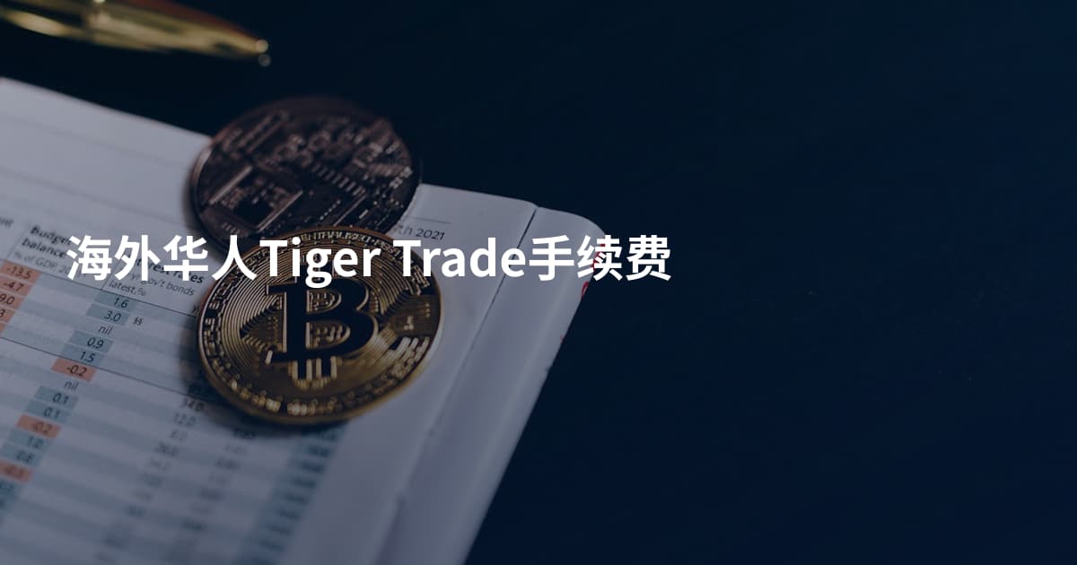 海外华人Tiger Trade手续费