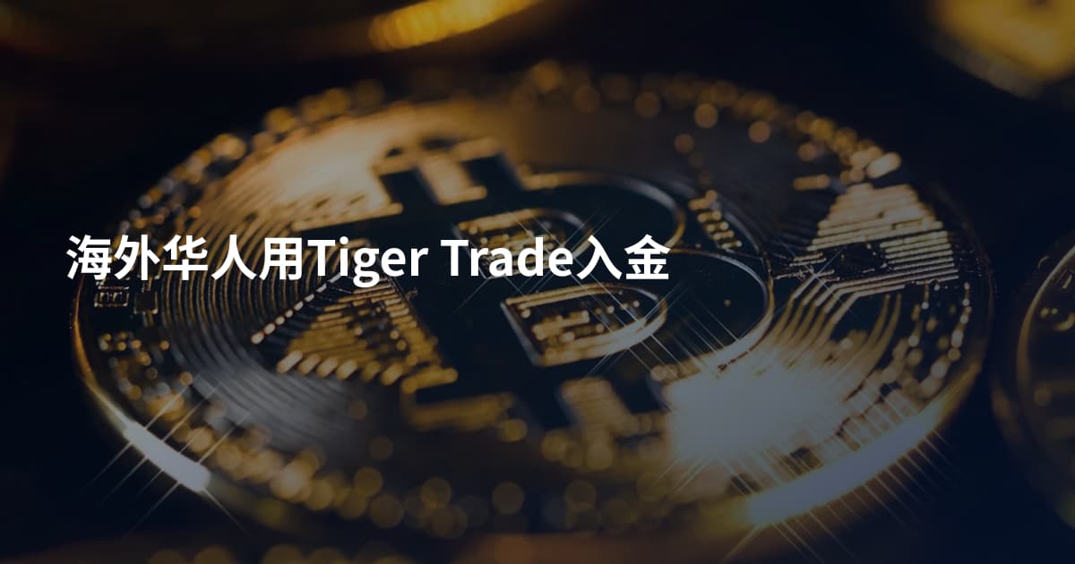 海外华人用Tiger Trade入金