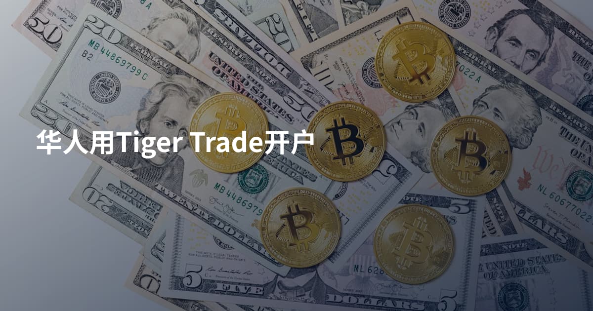 华人用Tiger Trade开户