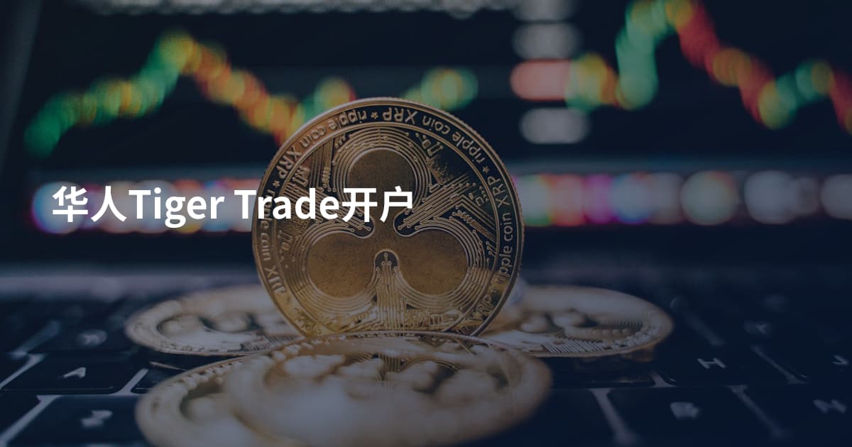 华人Tiger Trade开户