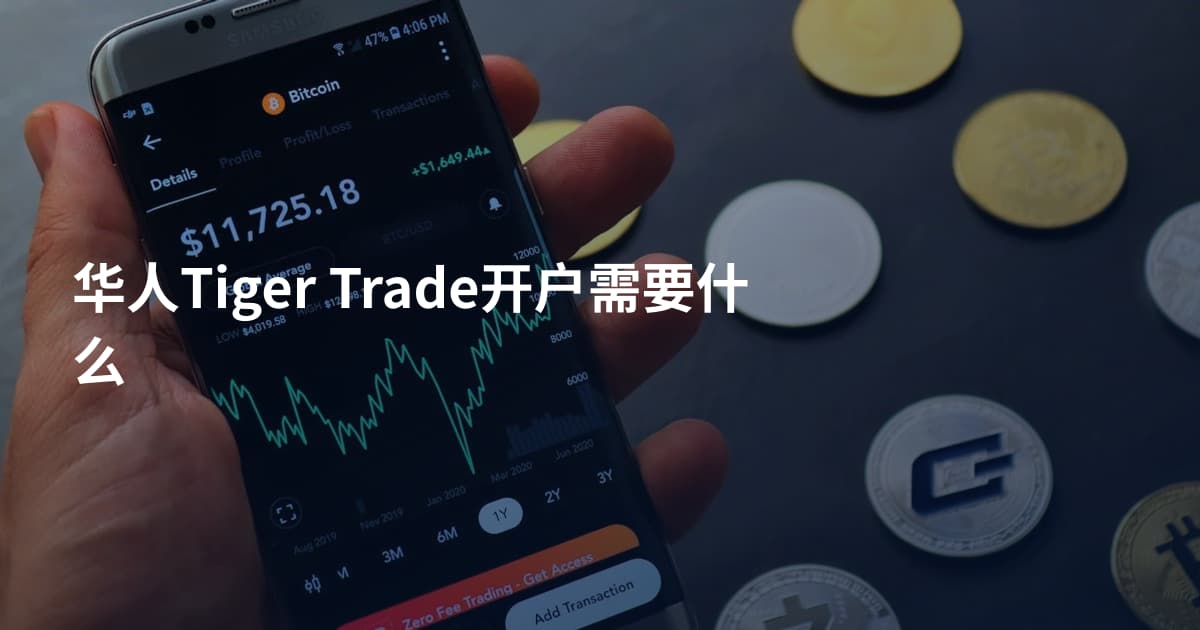 华人Tiger Trade开户需要什么