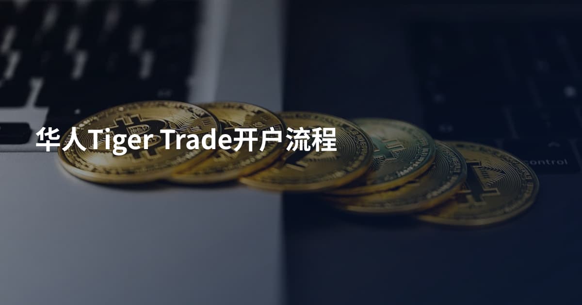 华人Tiger Trade开户流程