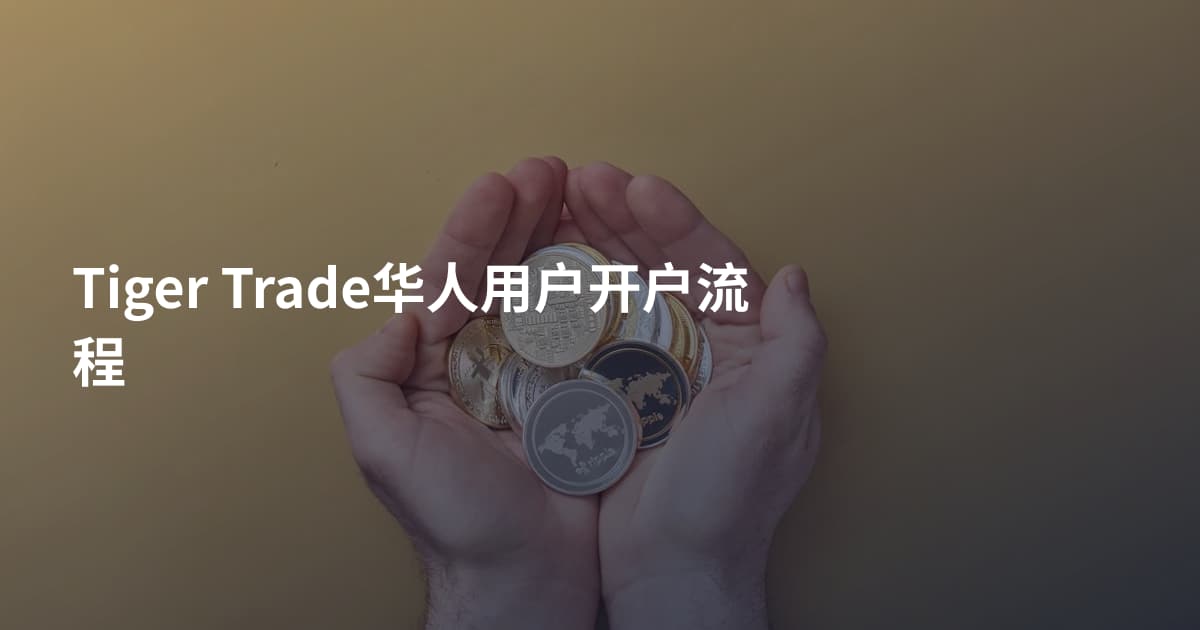 Tiger Trade华人用户开户流程