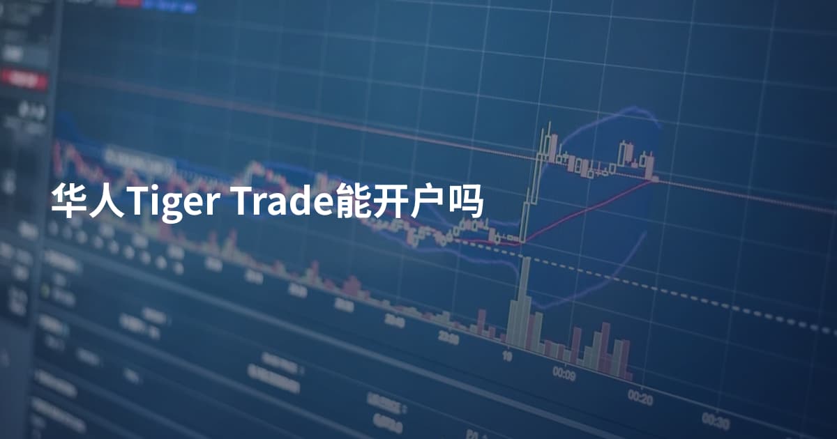 华人Tiger Trade能开户吗