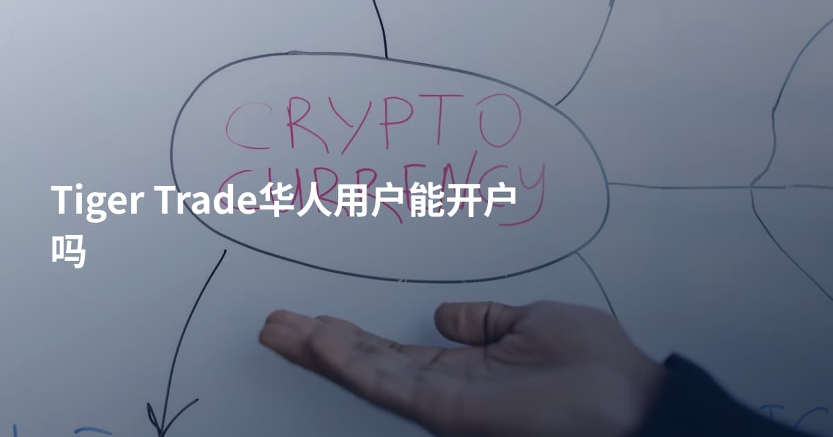 Tiger Trade华人用户能开户吗