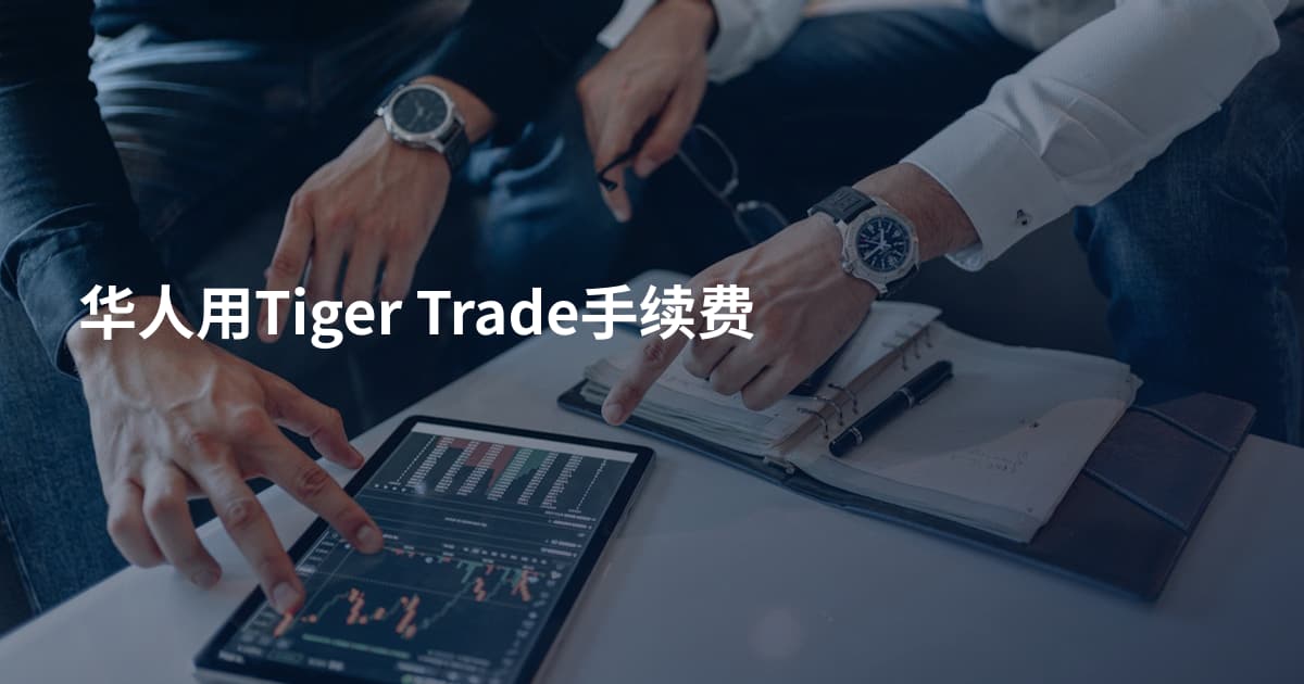 华人用Tiger Trade手续费