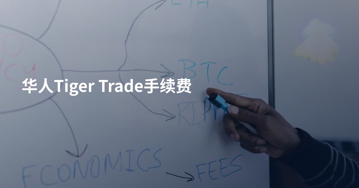 华人Tiger Trade手续费