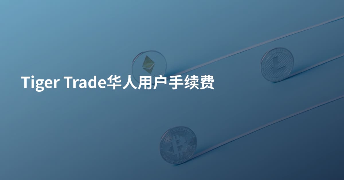 Tiger Trade华人用户手续费