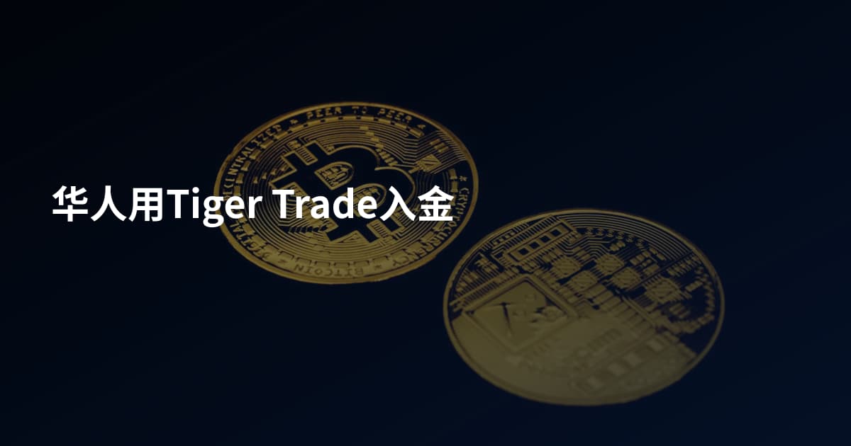 华人用Tiger Trade入金
