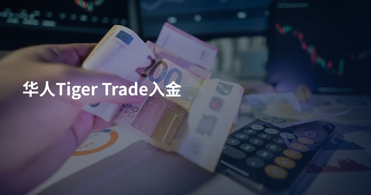 华人Tiger Trade入金