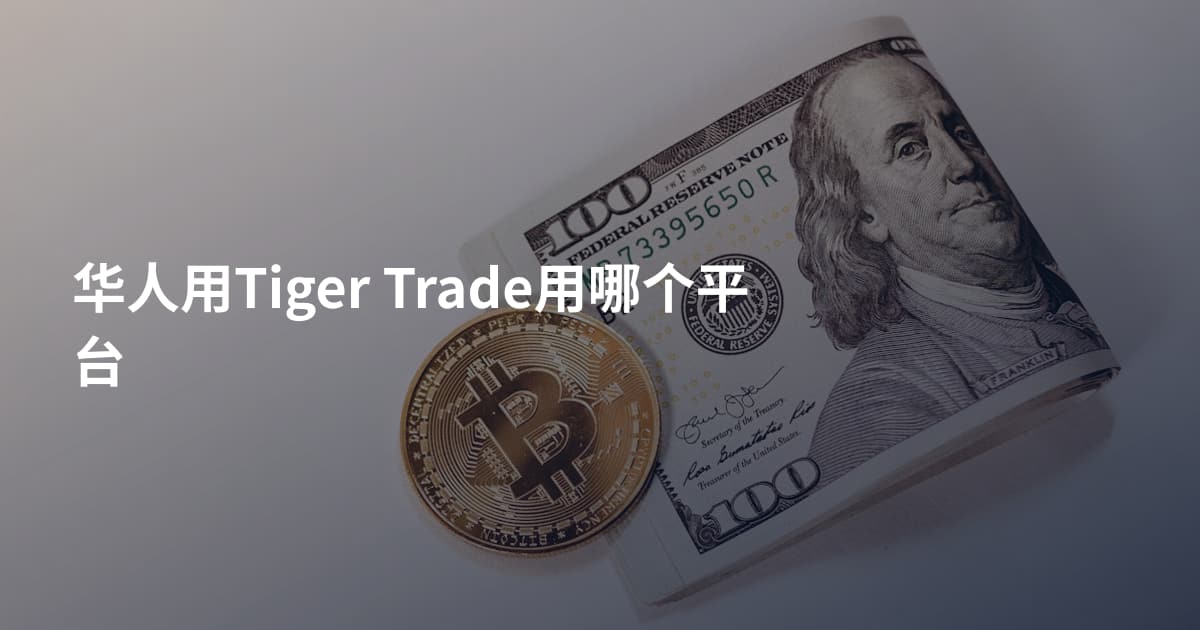 华人用Tiger Trade用哪个平台