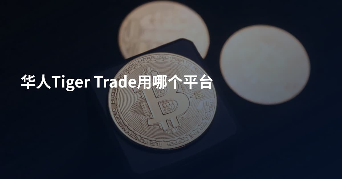 华人Tiger Trade用哪个平台