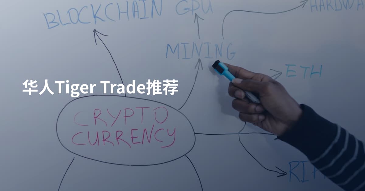 华人Tiger Trade推荐