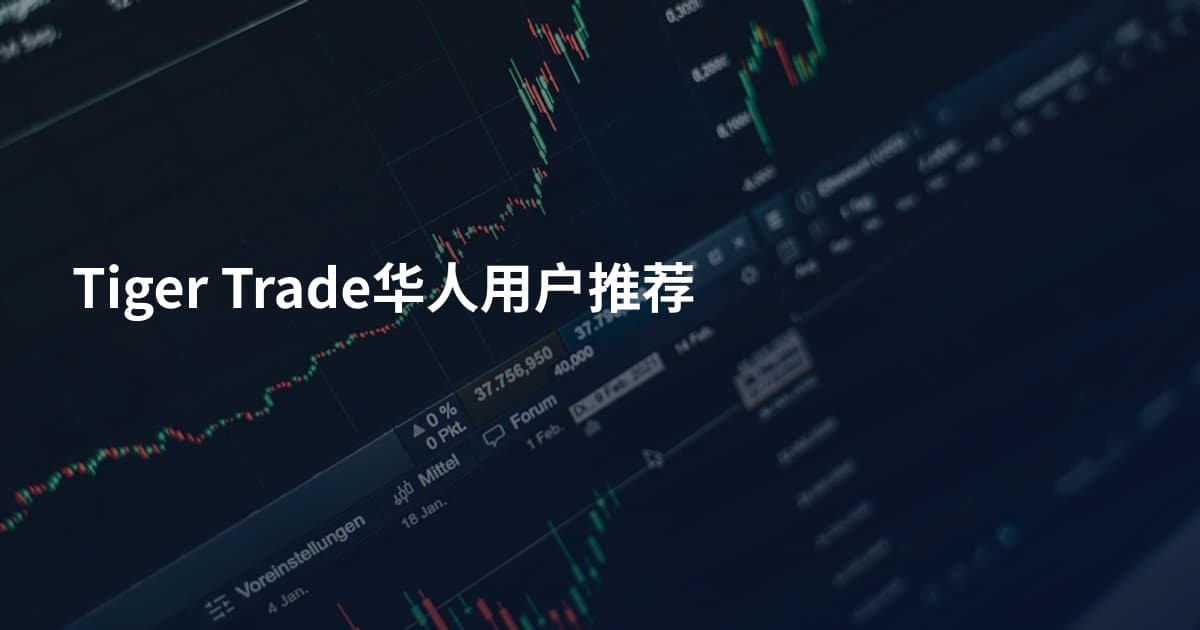 Tiger Trade华人用户推荐