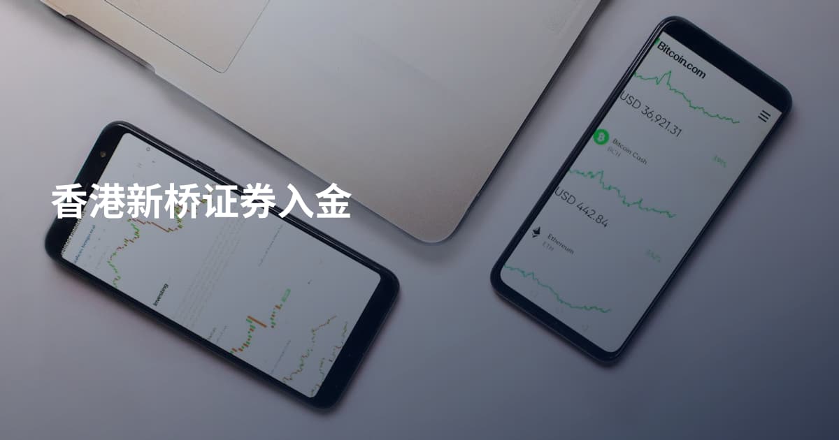 香港新桥证券入金