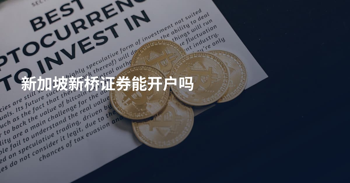 新加坡新桥证券能开户吗