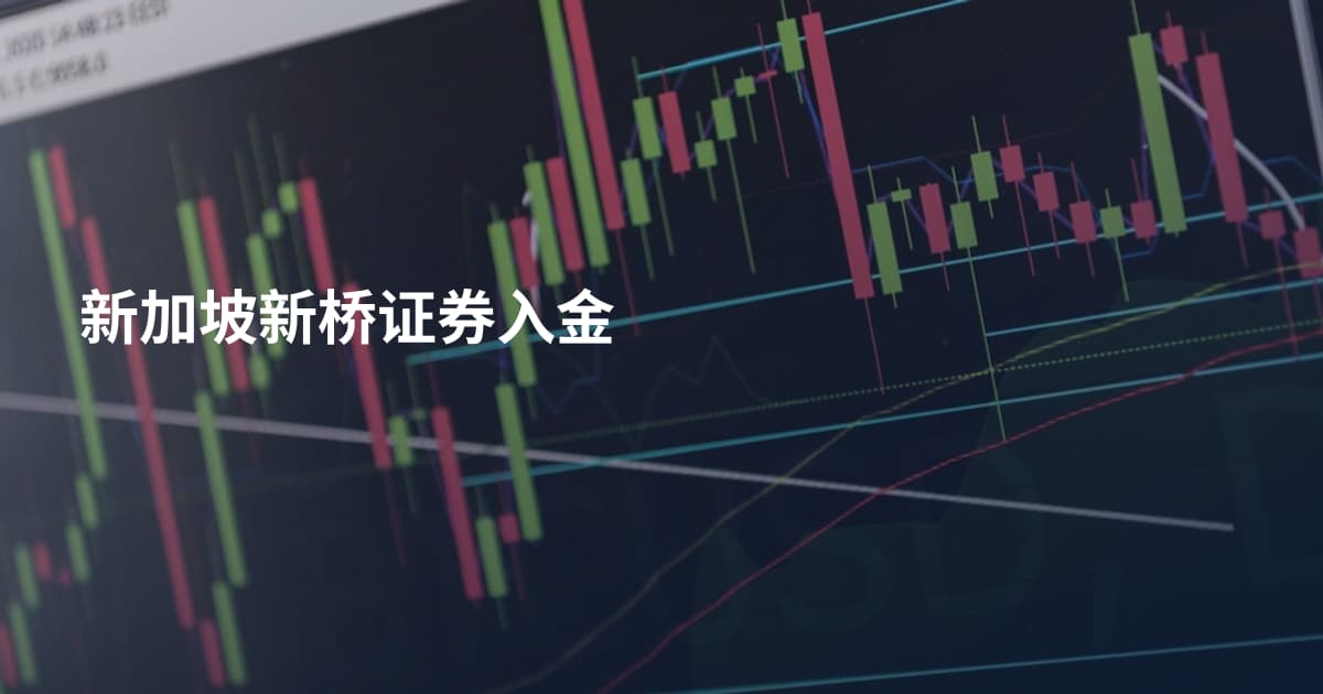 新加坡新桥证券入金