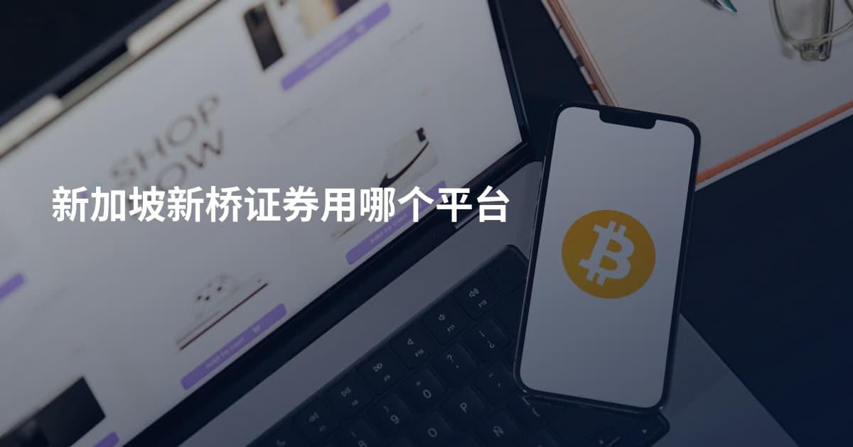 新加坡新桥证券用哪个平台