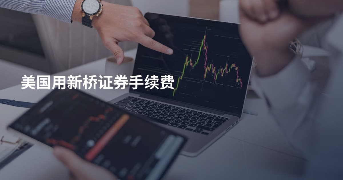 美国用新桥证券手续费