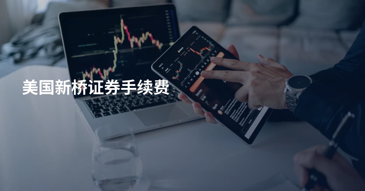 美国新桥证券手续费