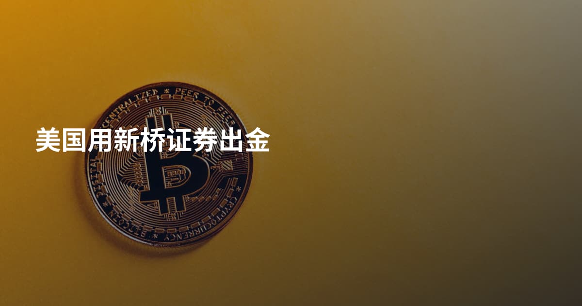 美国用新桥证券出金