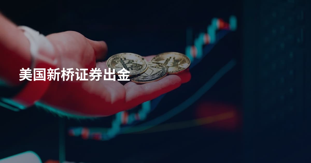 美国新桥证券出金