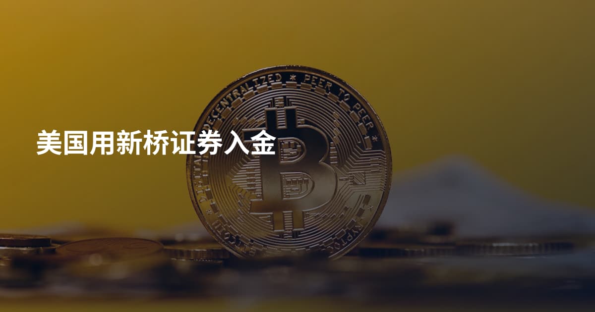 美国用新桥证券入金