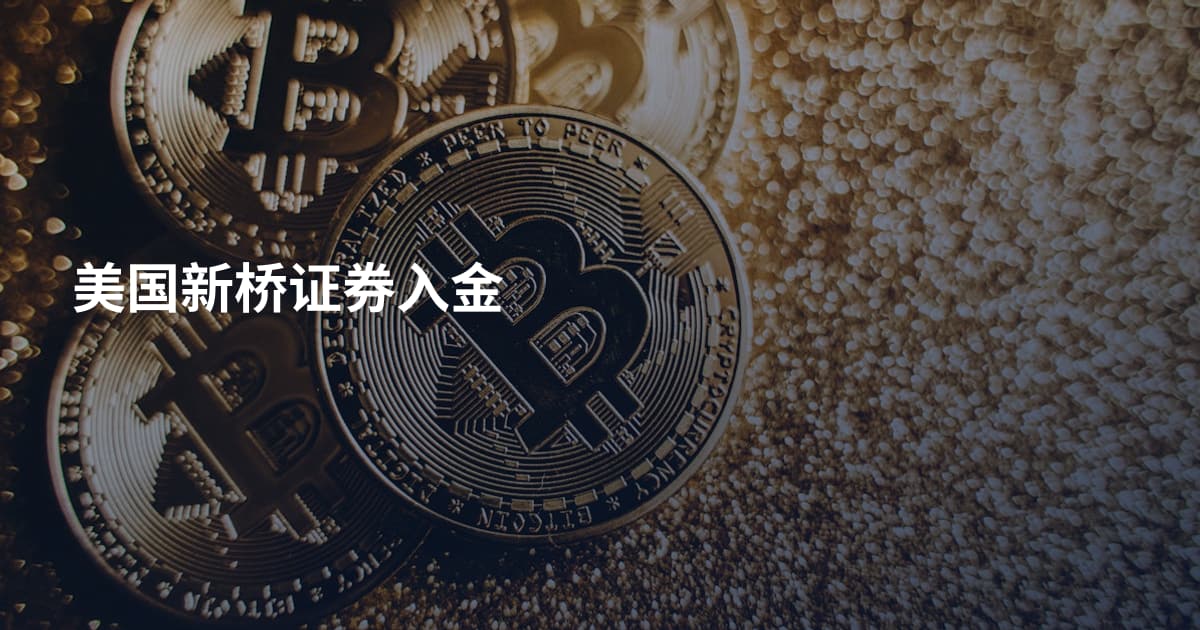 美国新桥证券入金
