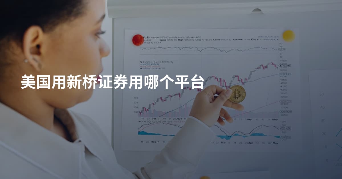 美国用新桥证券用哪个平台