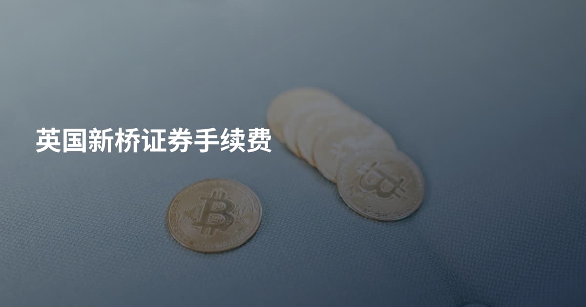 英国新桥证券手续费