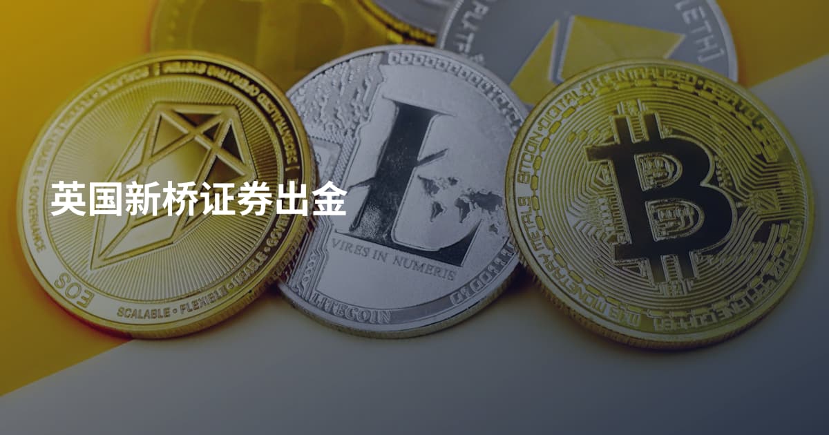 英国新桥证券出金