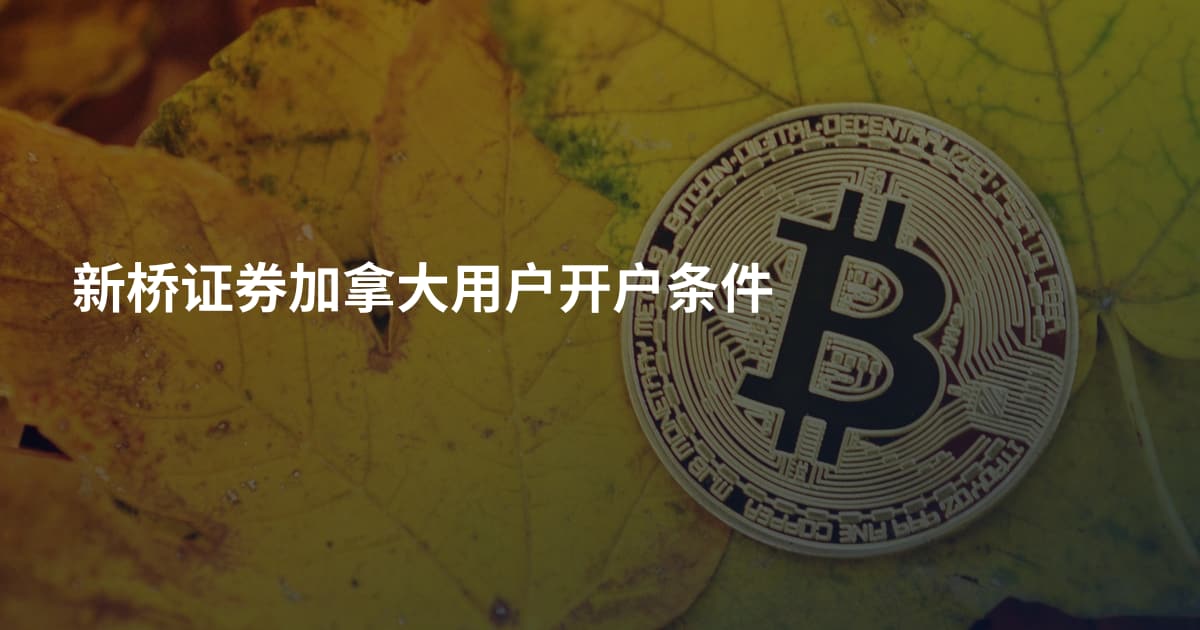新桥证券加拿大用户开户条件