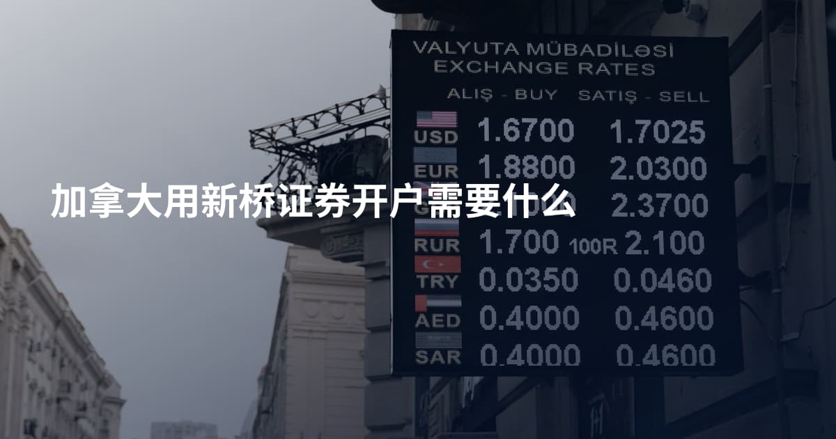 加拿大用新桥证券开户需要什么