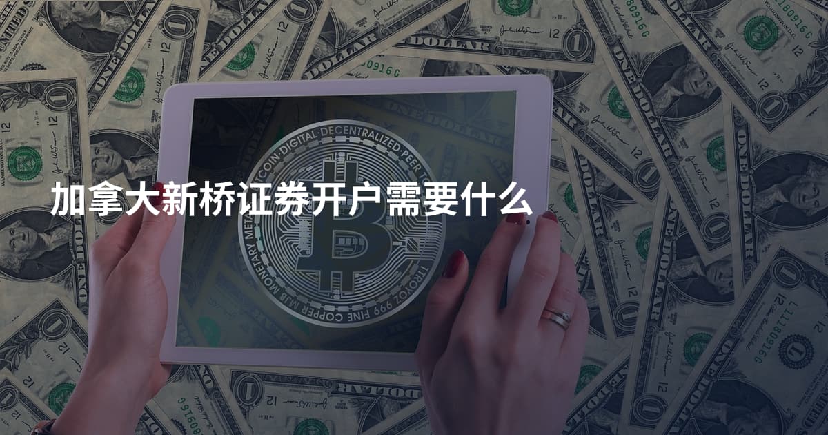 加拿大新桥证券开户需要什么