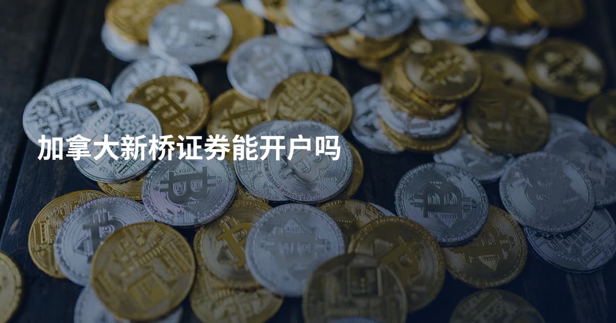 加拿大新桥证券能开户吗