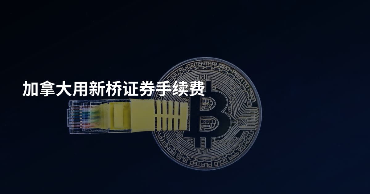 加拿大用新桥证券手续费