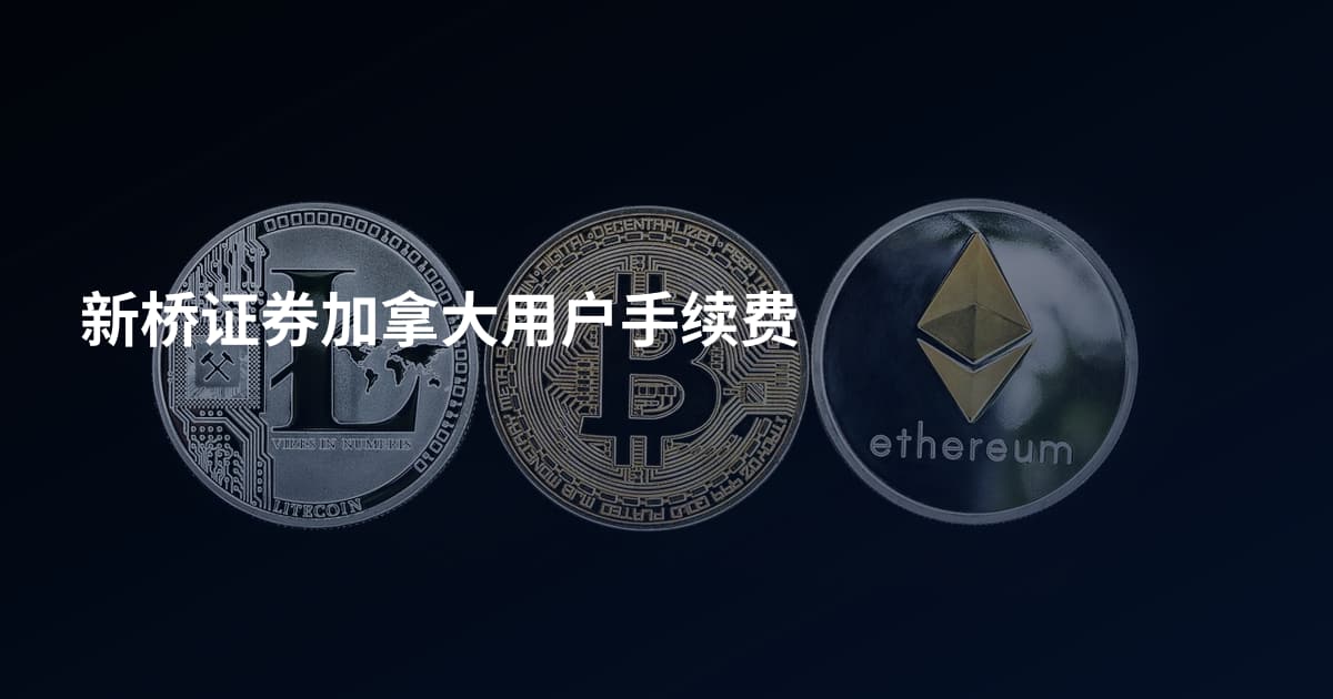 新桥证券加拿大用户手续费