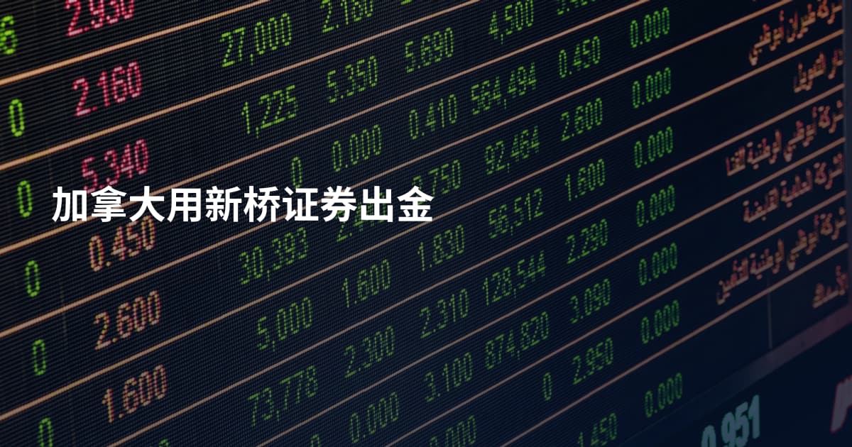 加拿大用新桥证券出金