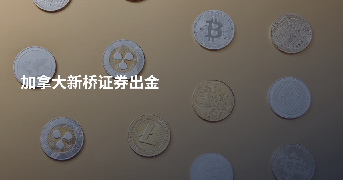 加拿大新桥证券出金