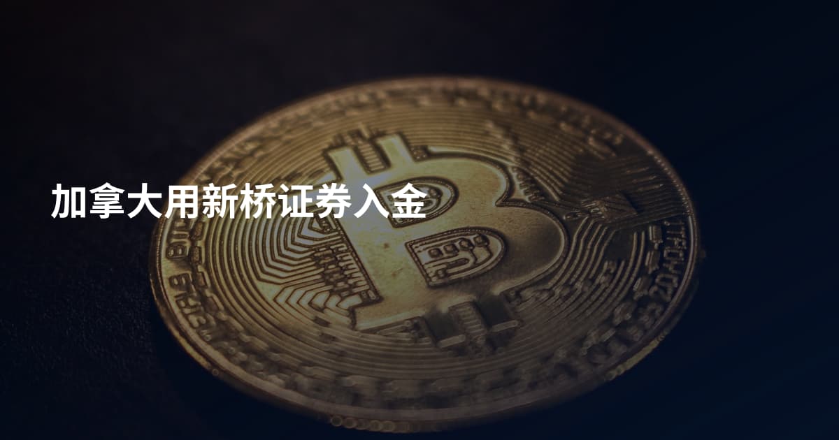 加拿大用新桥证券入金