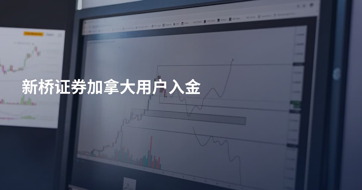 新桥证券加拿大用户入金