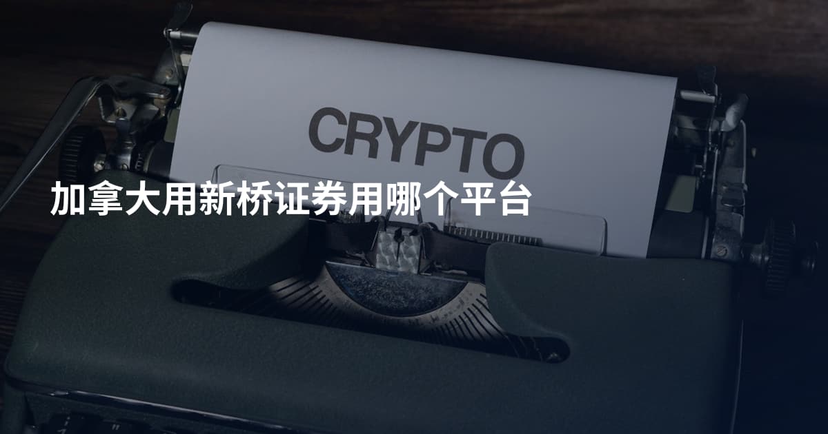 加拿大用新桥证券用哪个平台
