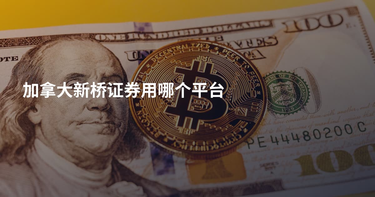 加拿大新桥证券用哪个平台