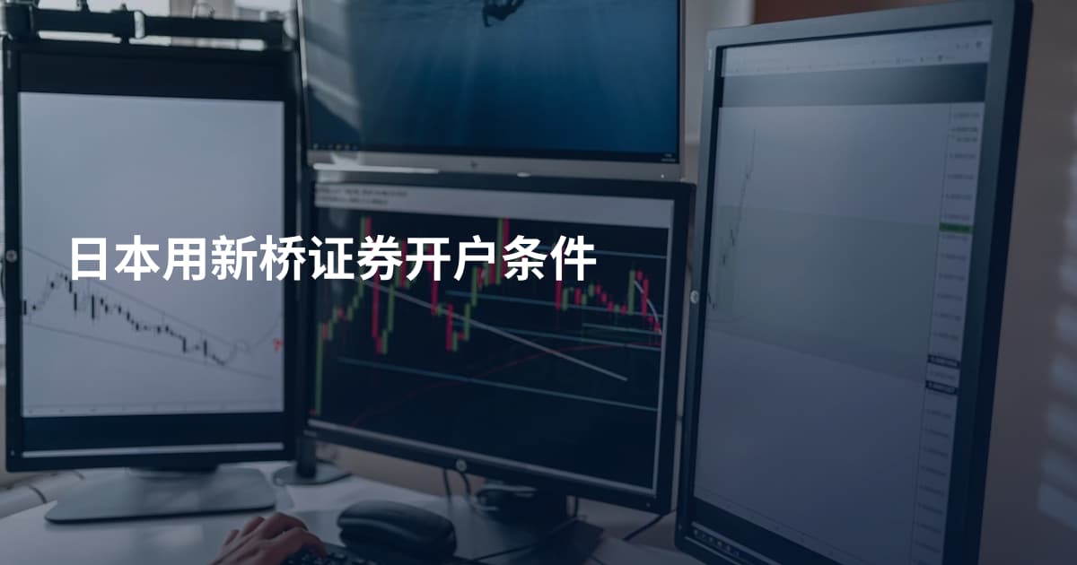 日本用新桥证券开户条件