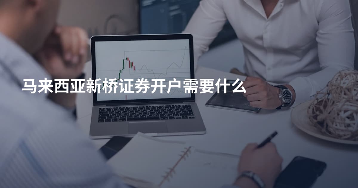 马来西亚新桥证券开户需要什么