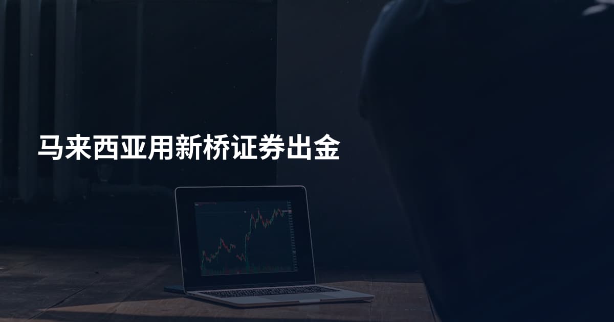 马来西亚用新桥证券出金